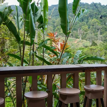 Cabana Ave Del Paraiso Cartago Exterior photo