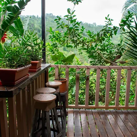 Cabana Ave Del Paraiso Cartago Exterior photo
